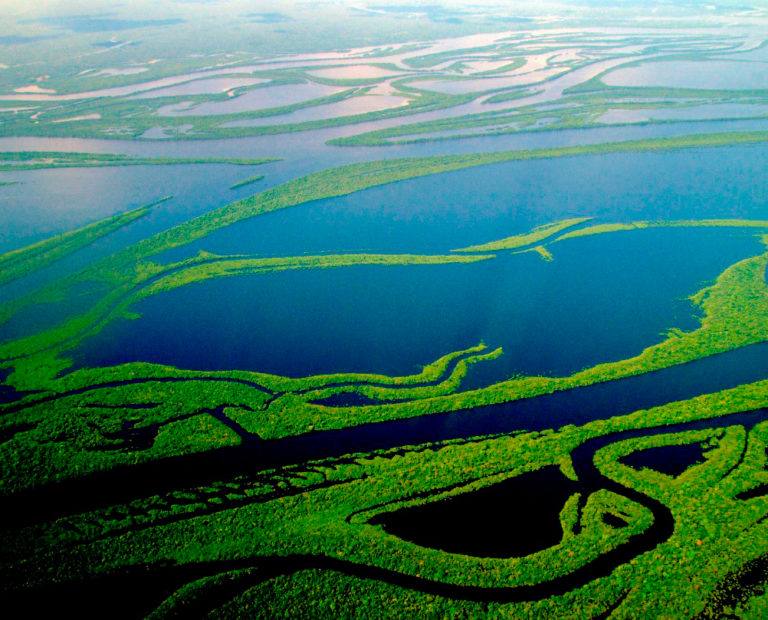 Parque Nacional de Anavilhanas