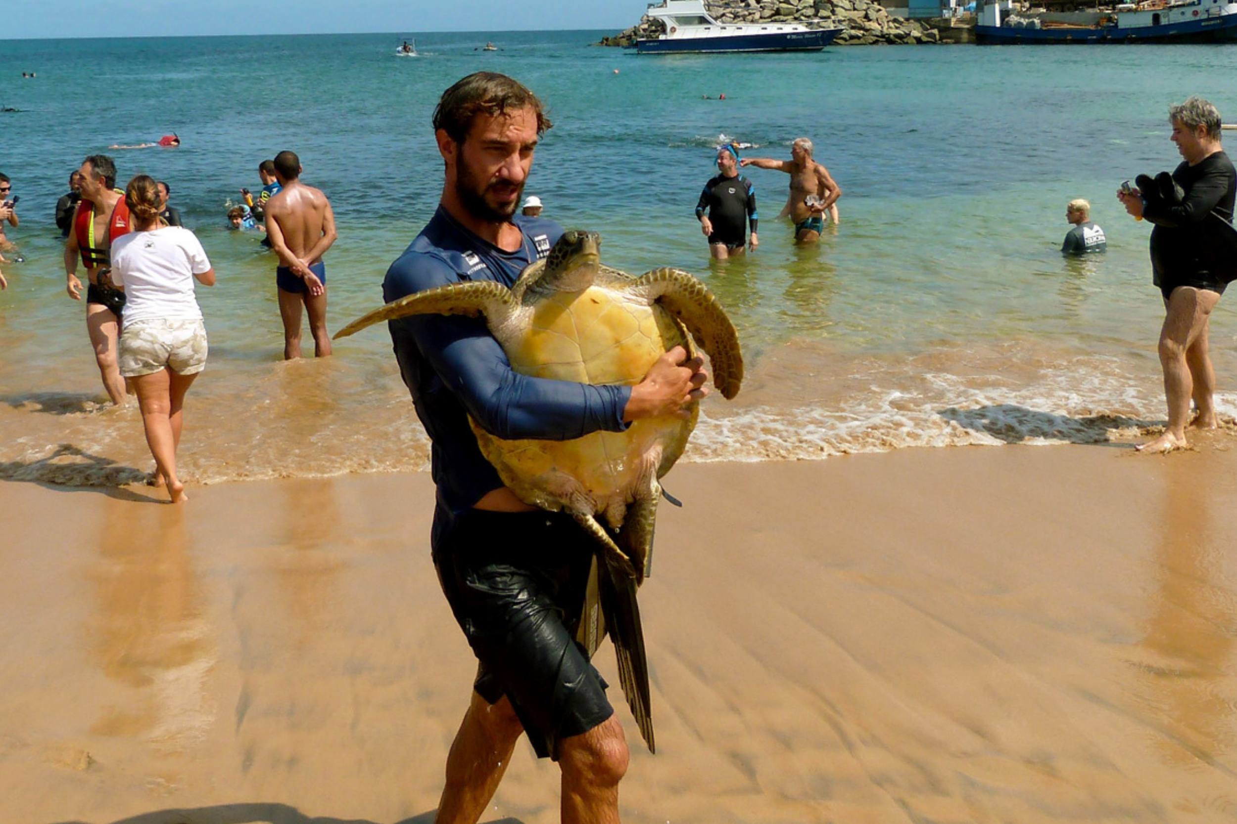 Biólogo do Projeto Tamar carrega uma tartaruga marinha em meio a banhistas.