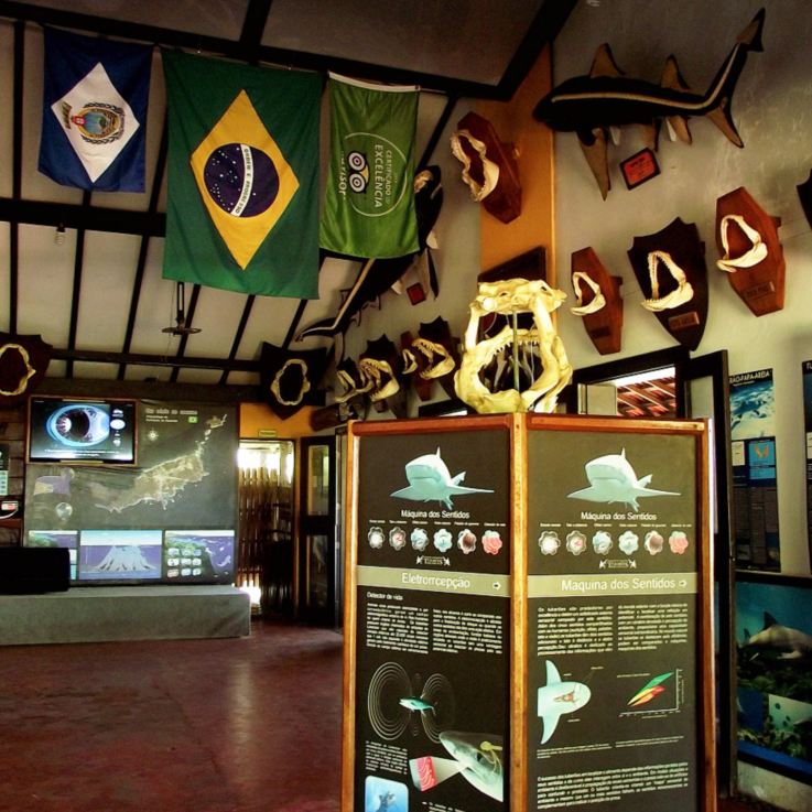 Museu dos Tubarões e Buraco da Raquel