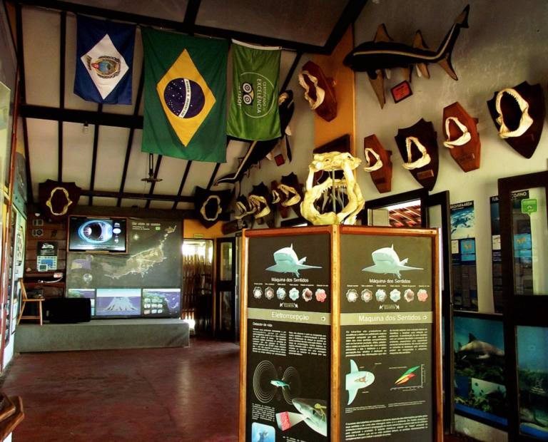 Museu dos Tubarões e Buraco da Raquel