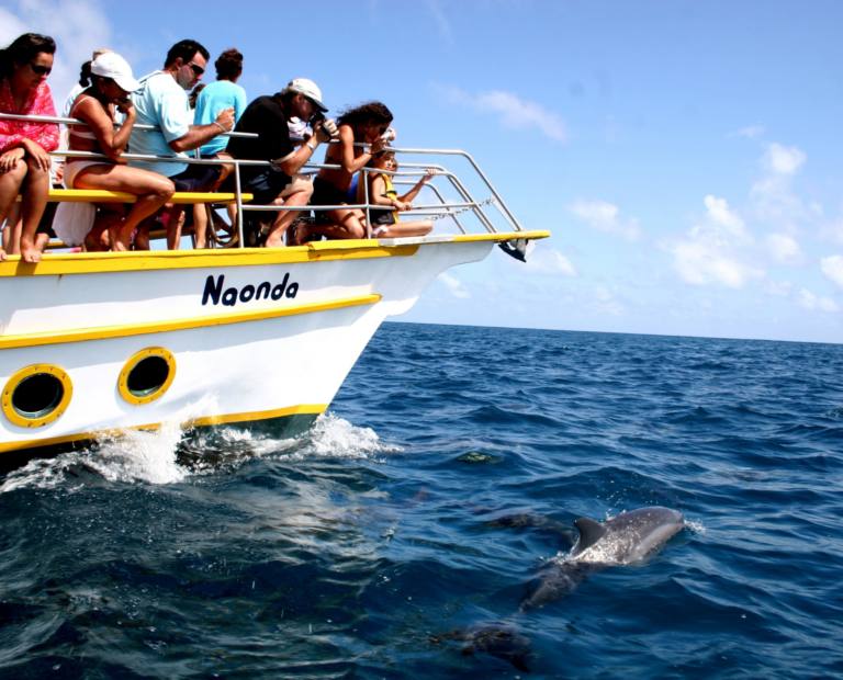 Passeio de barco com mergulho no Sancho