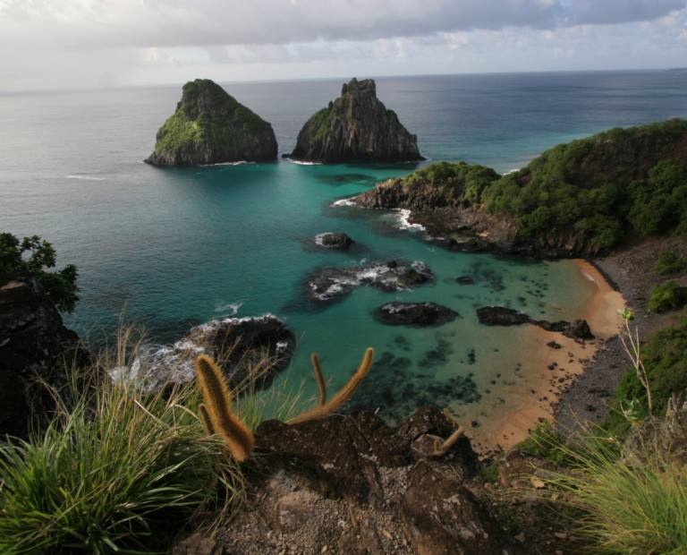 Baía dos Porcos